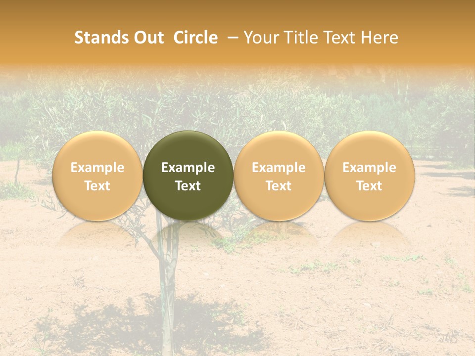 Garden PowerPoint Template