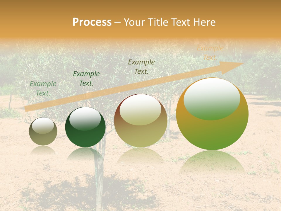 Garden PowerPoint Template