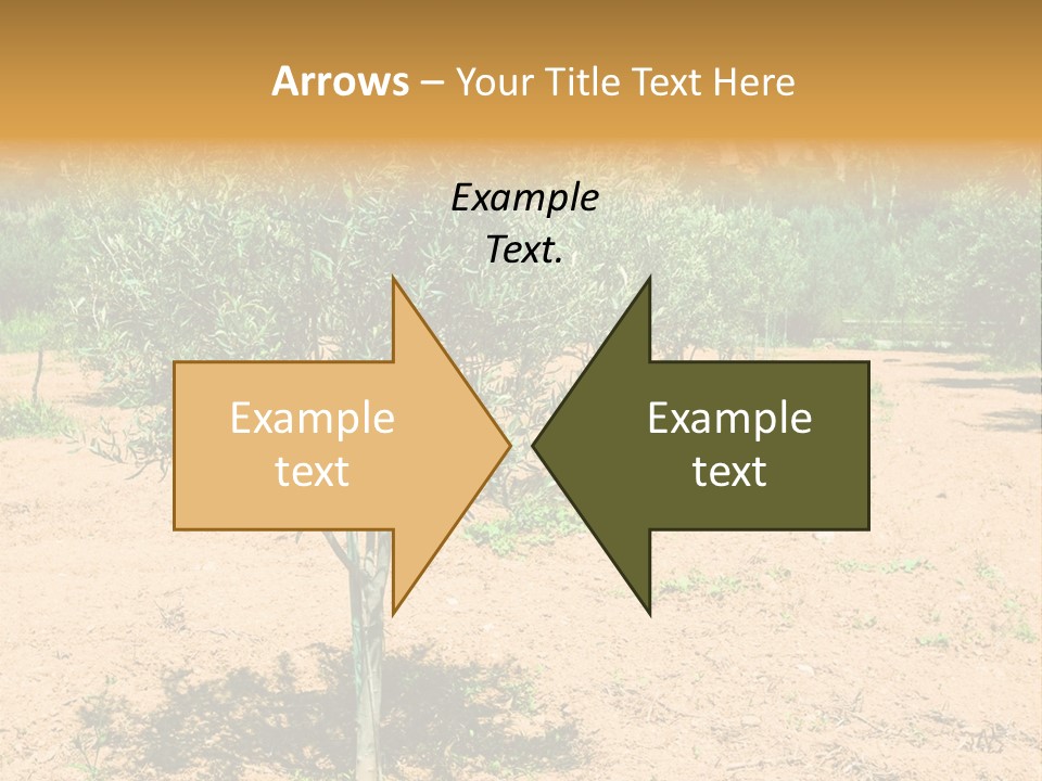 Garden PowerPoint Template