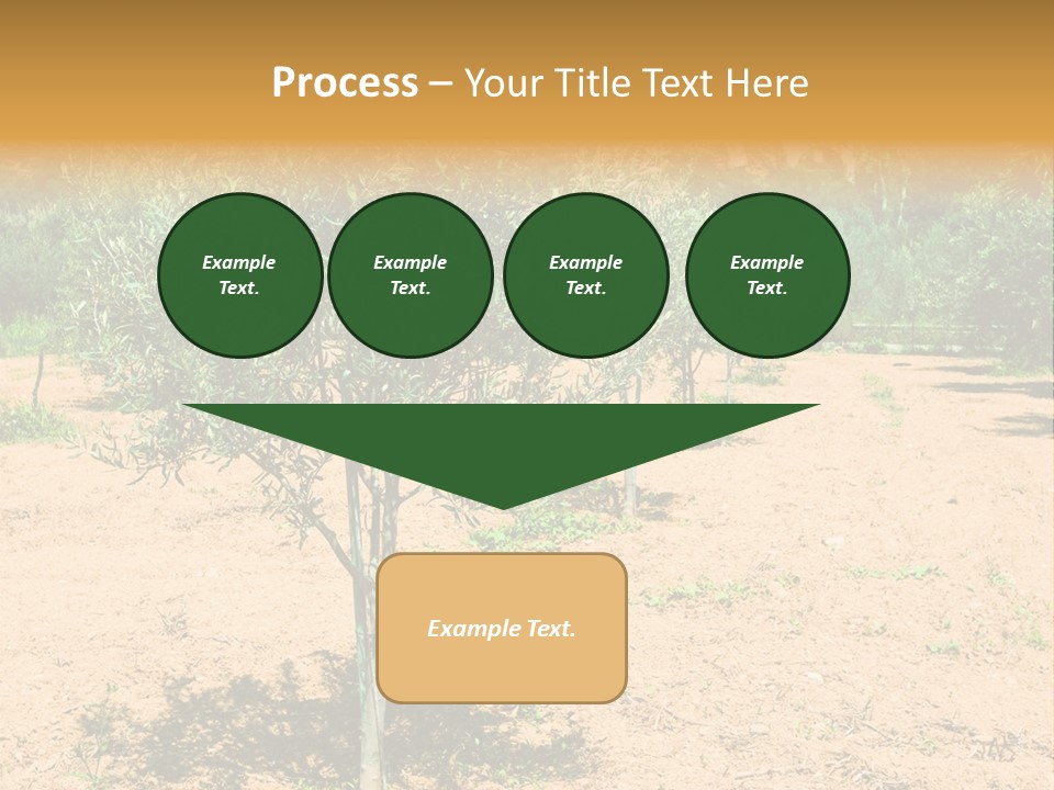 Garden PowerPoint Template