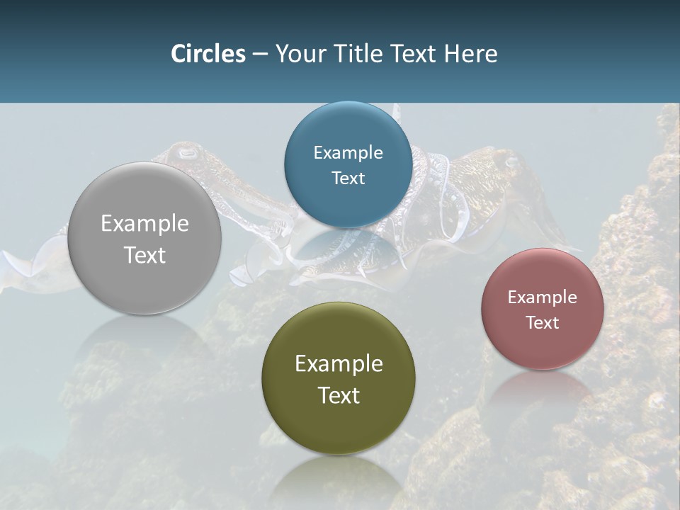 Underwater World PowerPoint Template