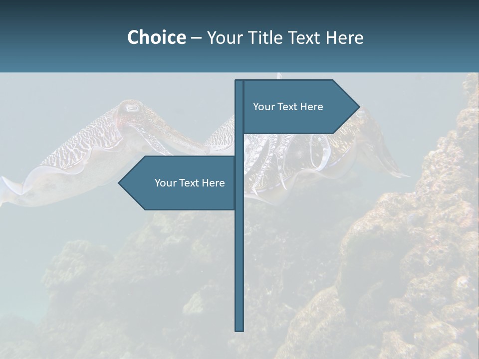 Underwater World PowerPoint Template