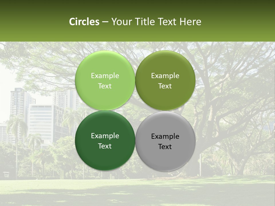 Central Park - New York City Park PowerPoint Template