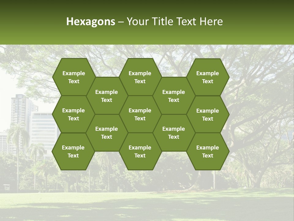 Central Park - New York City Park PowerPoint Template