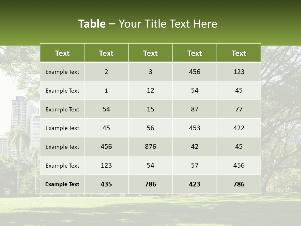 Central Park - New York City Park PowerPoint Template