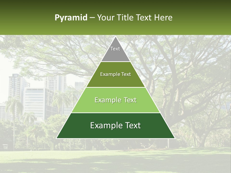 Central Park - New York City Park PowerPoint Template