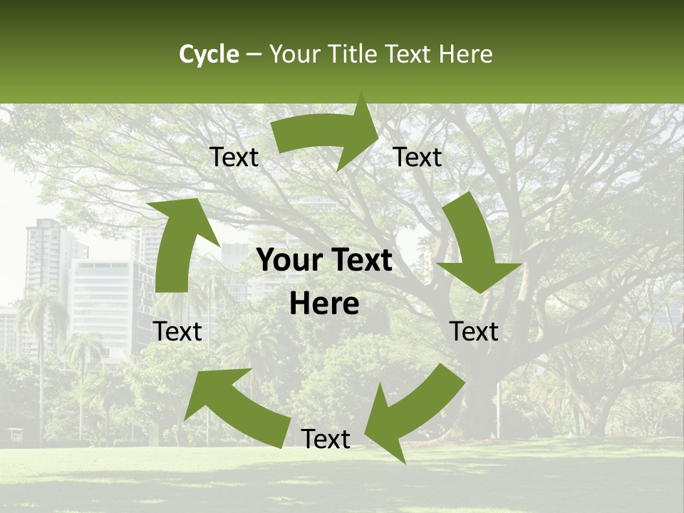 Central Park - New York City Park PowerPoint Template