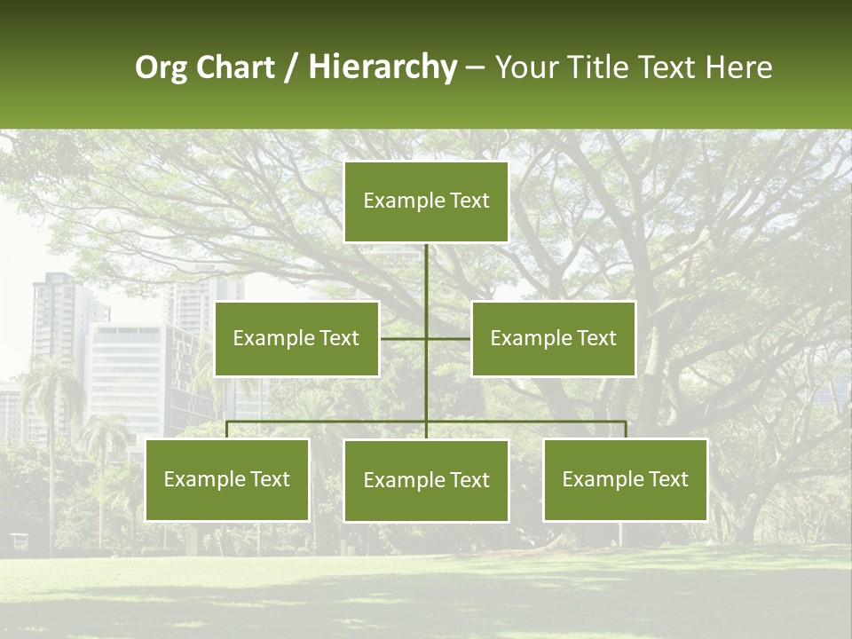 Central Park - New York City Park PowerPoint Template