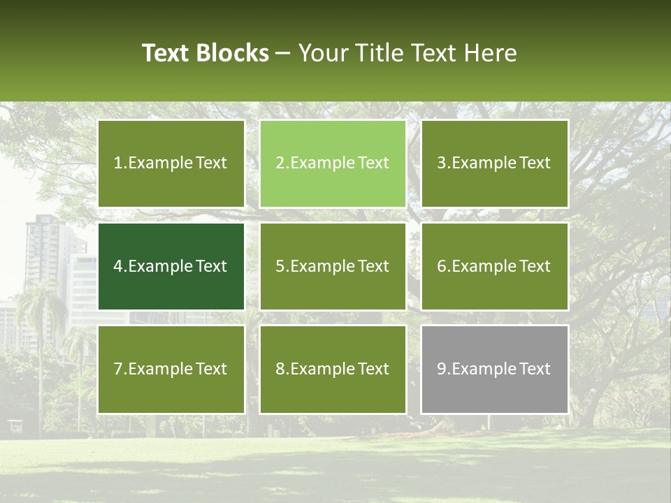 Central Park - New York City Park PowerPoint Template