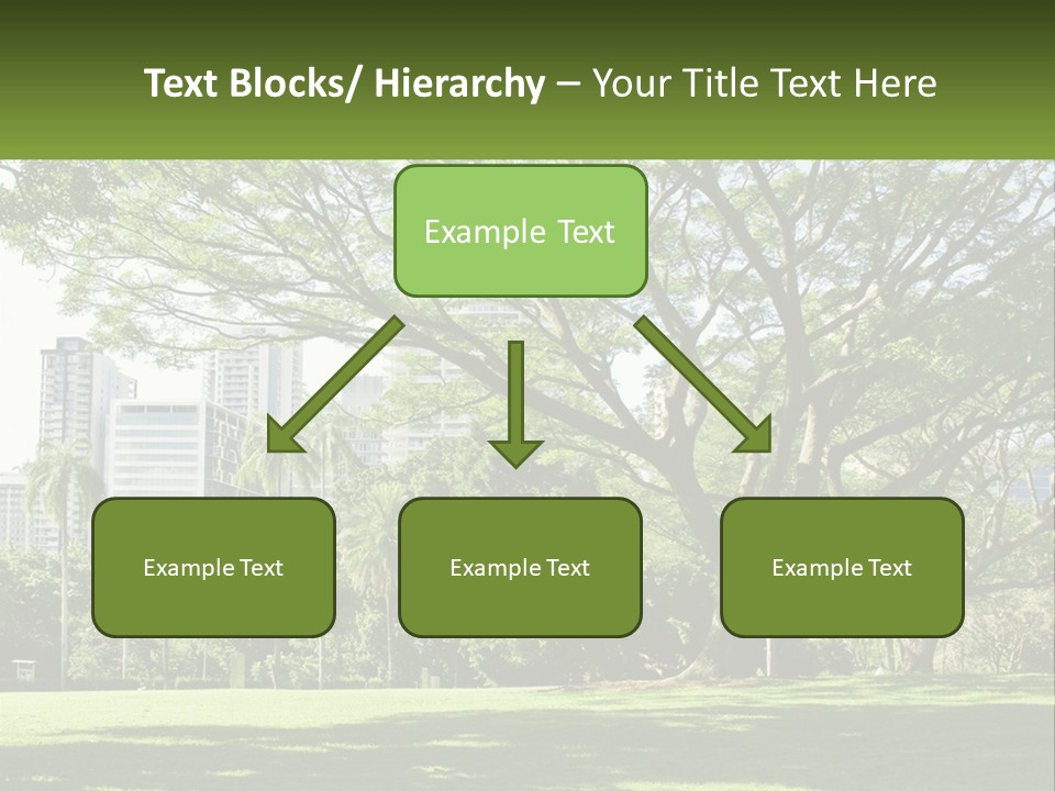 Central Park - New York City Park PowerPoint Template