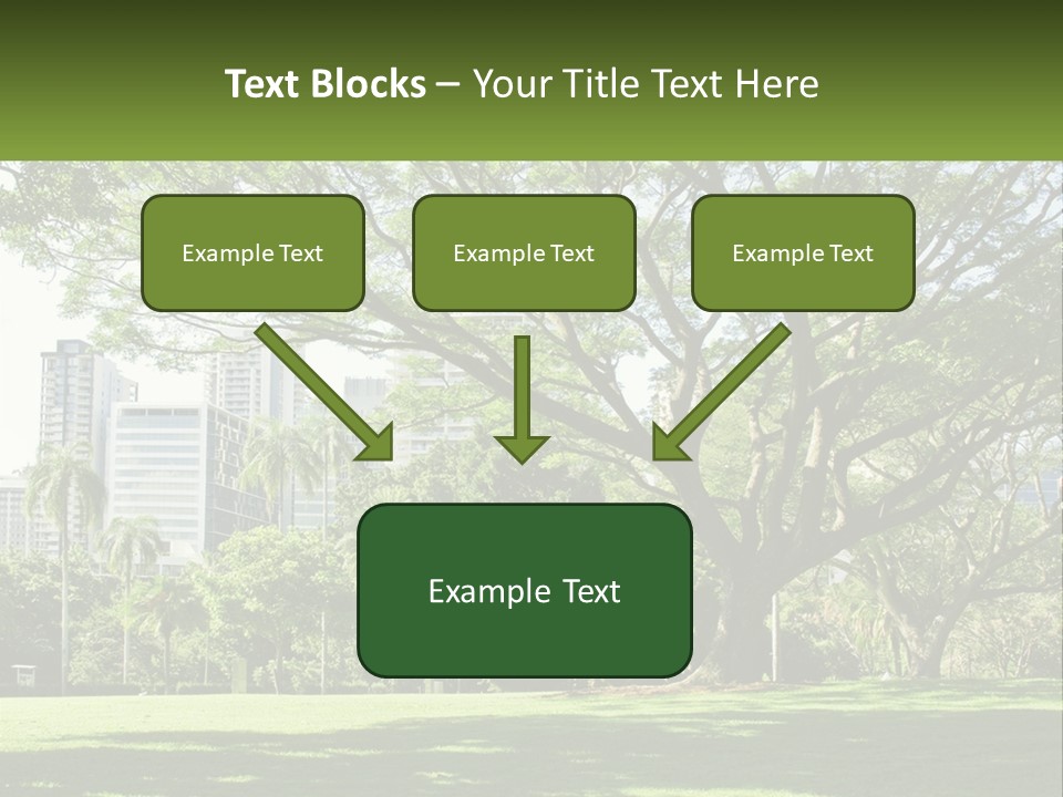 Central Park - New York City Park PowerPoint Template
