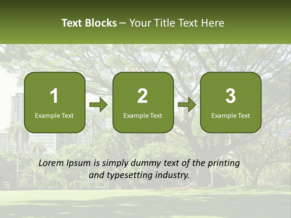 Central Park - New York City Park PowerPoint Template