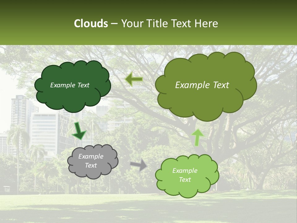 Central Park - New York City Park PowerPoint Template