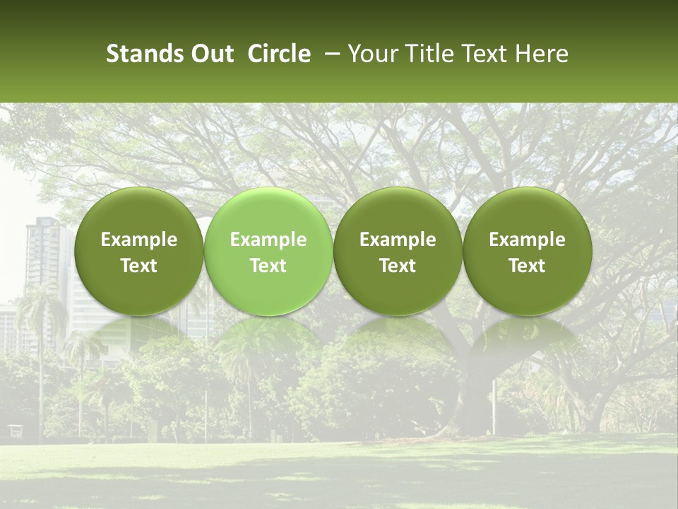 Central Park - New York City Park PowerPoint Template