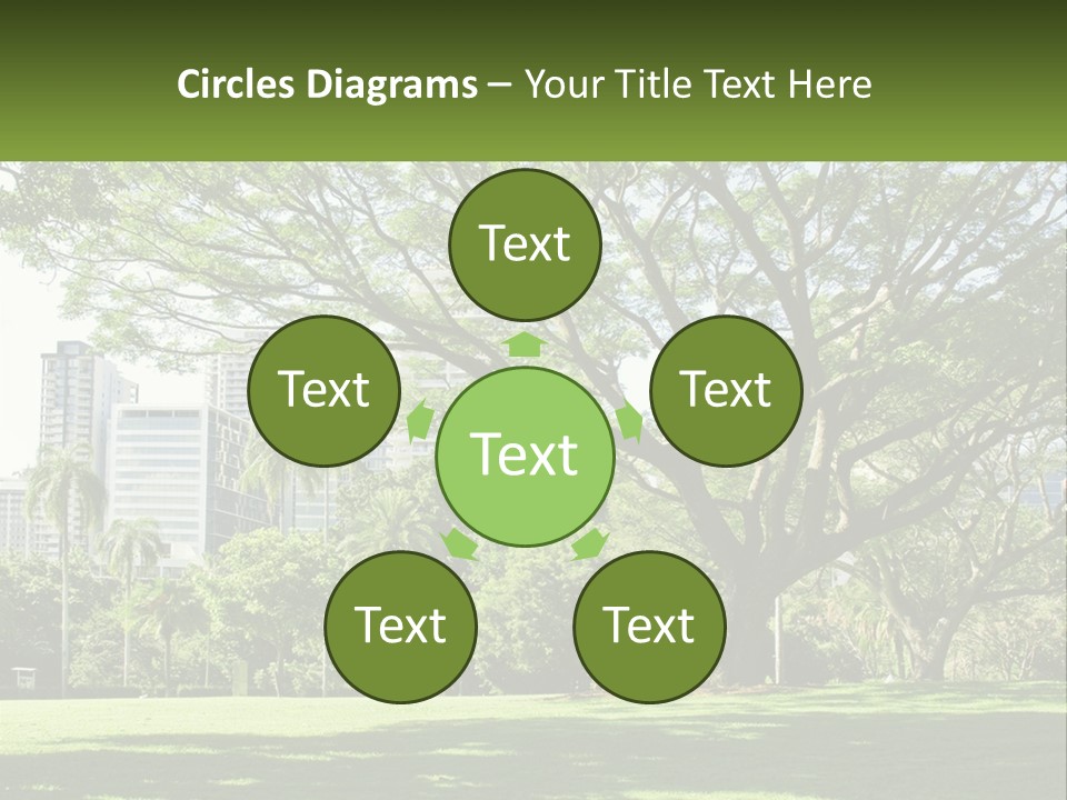 Central Park - New York City Park PowerPoint Template