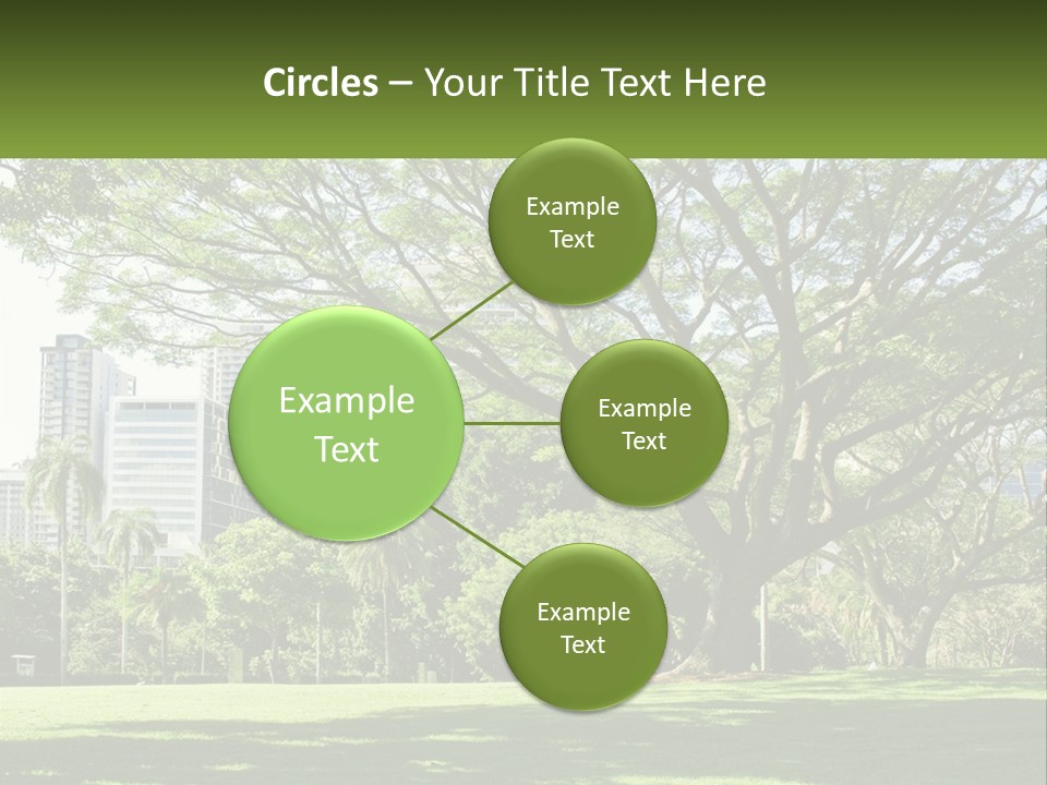 Central Park - New York City Park PowerPoint Template