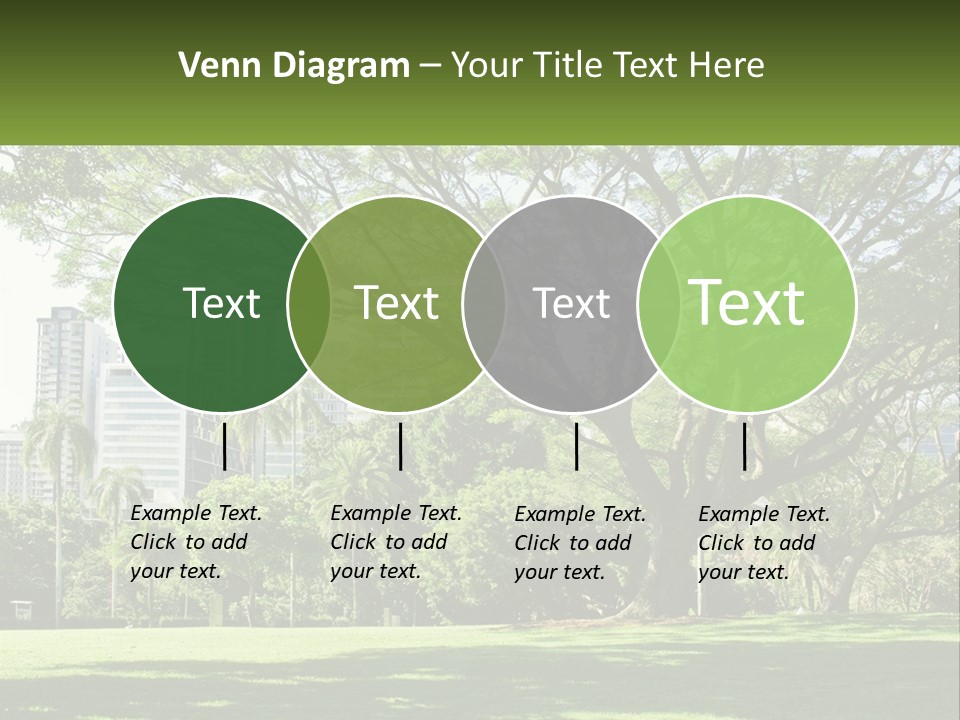 Central Park - New York City Park PowerPoint Template