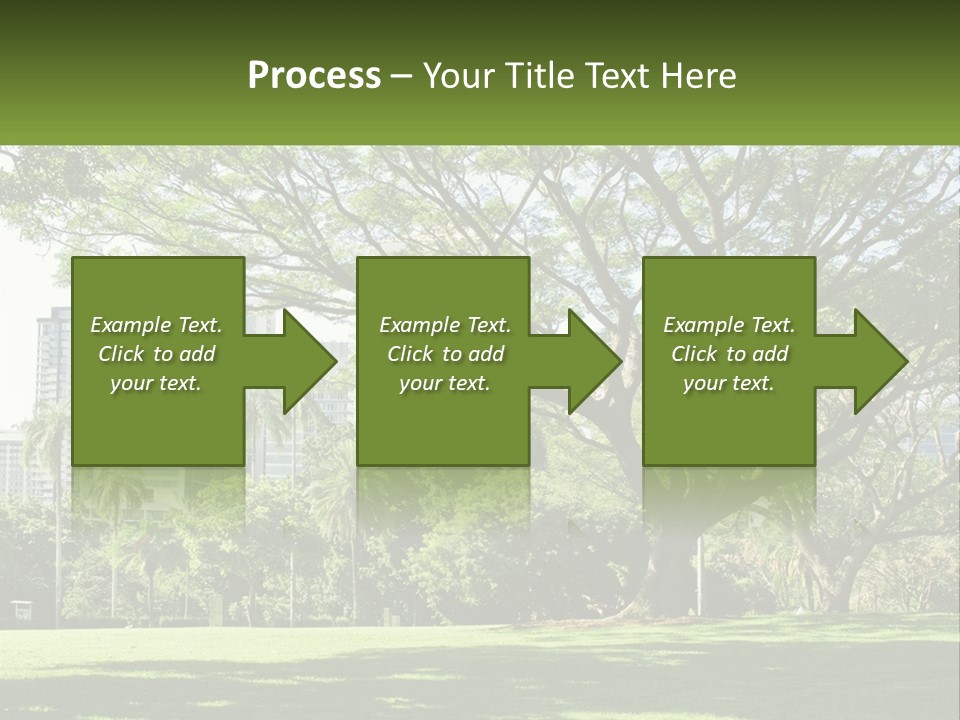 Central Park - New York City Park PowerPoint Template