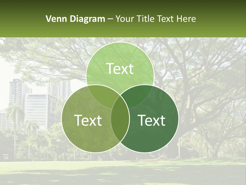 Central Park - New York City Park PowerPoint Template