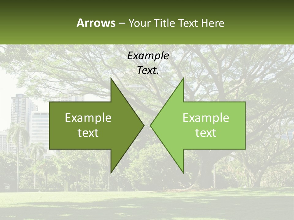 Central Park - New York City Park PowerPoint Template