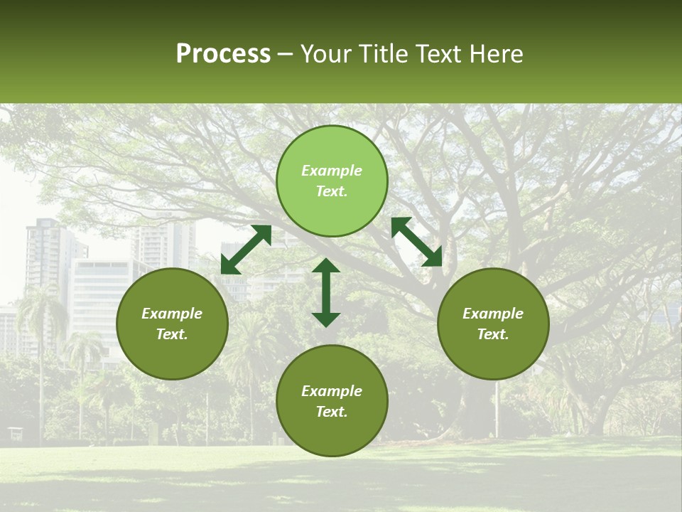 Central Park - New York City Park PowerPoint Template