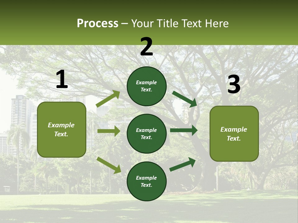 Central Park - New York City Park PowerPoint Template