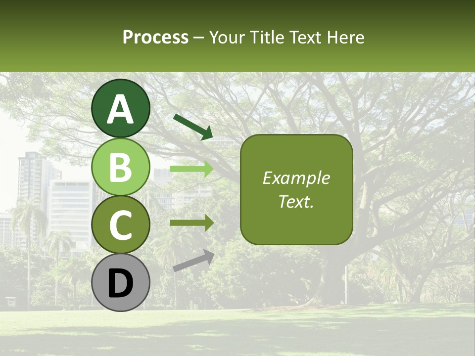 Central Park - New York City Park PowerPoint Template