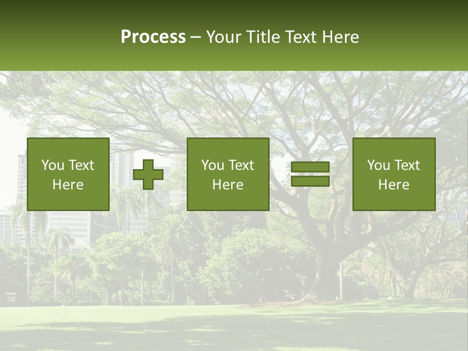 Central Park - New York City Park PowerPoint Template