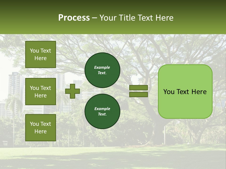Central Park - New York City Park PowerPoint Template