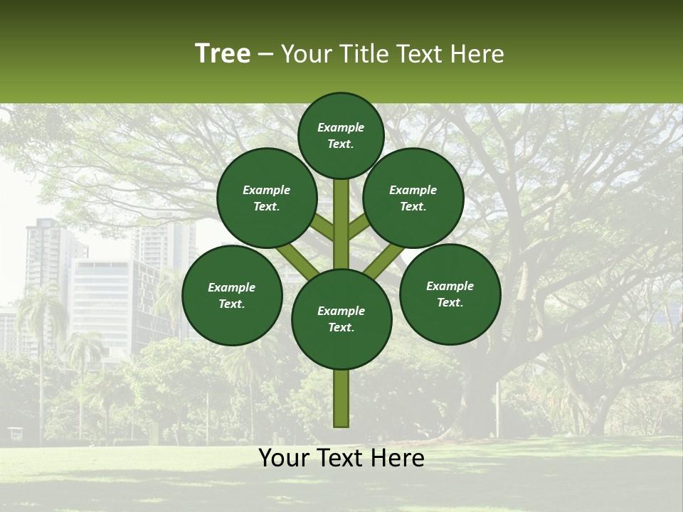 Central Park - New York City Park PowerPoint Template