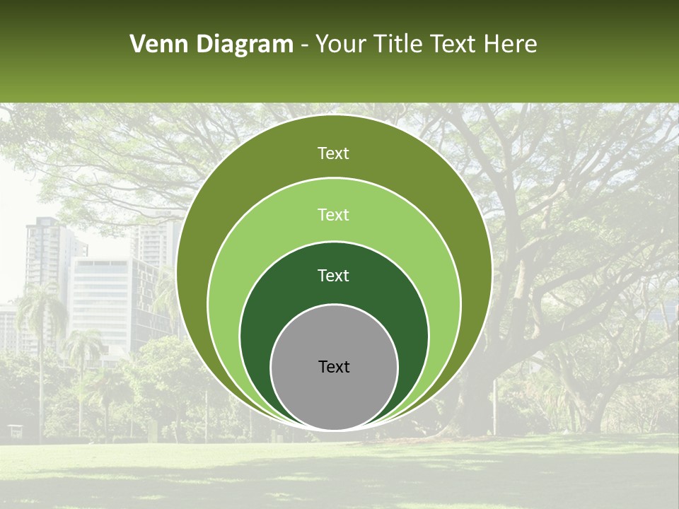 Central Park - New York City Park PowerPoint Template