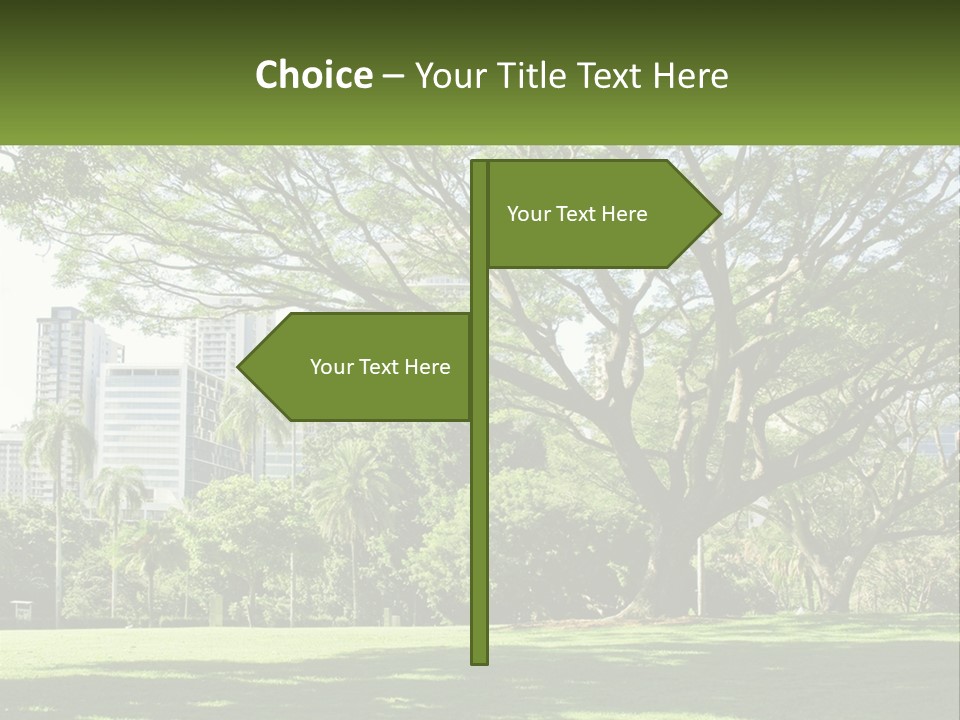 Central Park - New York City Park PowerPoint Template