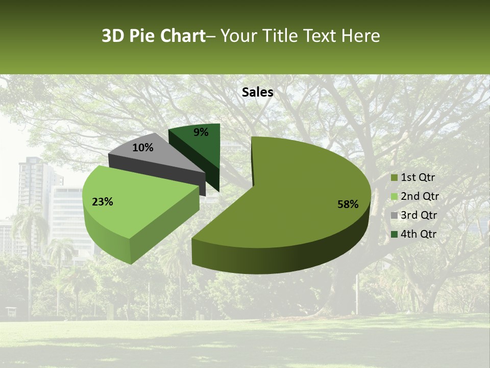 Central Park - New York City Park PowerPoint Template