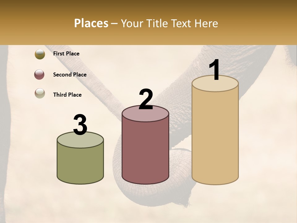 Baby Elephant Holds On To Mom's Tail PowerPoint Template