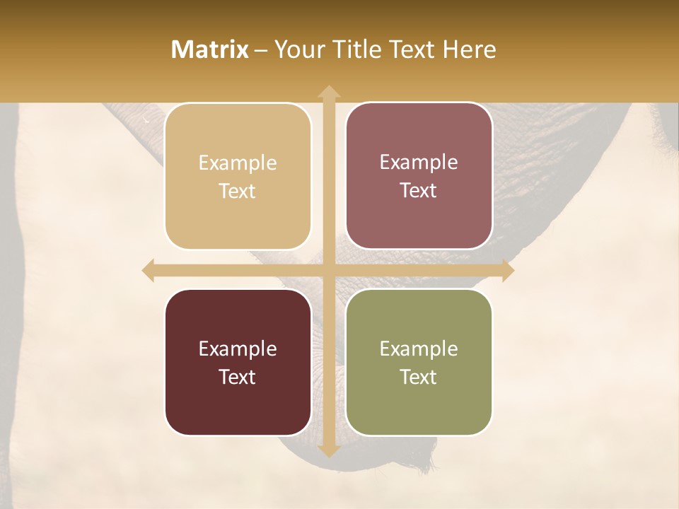 Baby Elephant Holds On To Mom's Tail PowerPoint Template