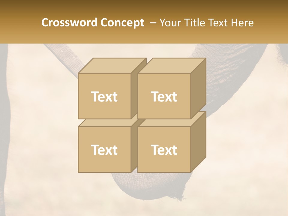 Baby Elephant Holds On To Mom's Tail PowerPoint Template