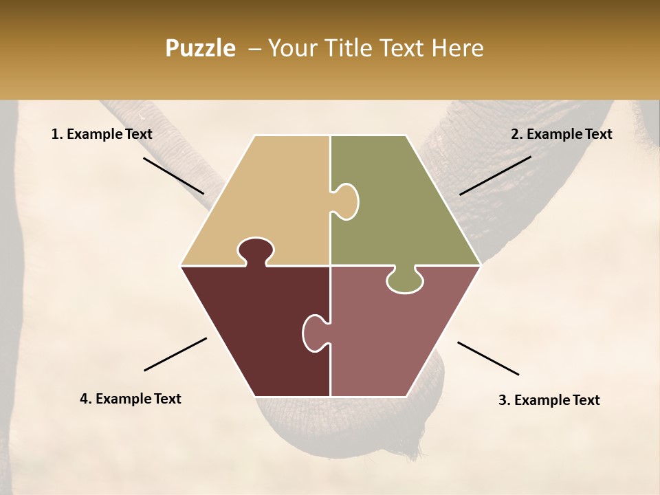 Baby Elephant Holds On To Mom's Tail PowerPoint Template