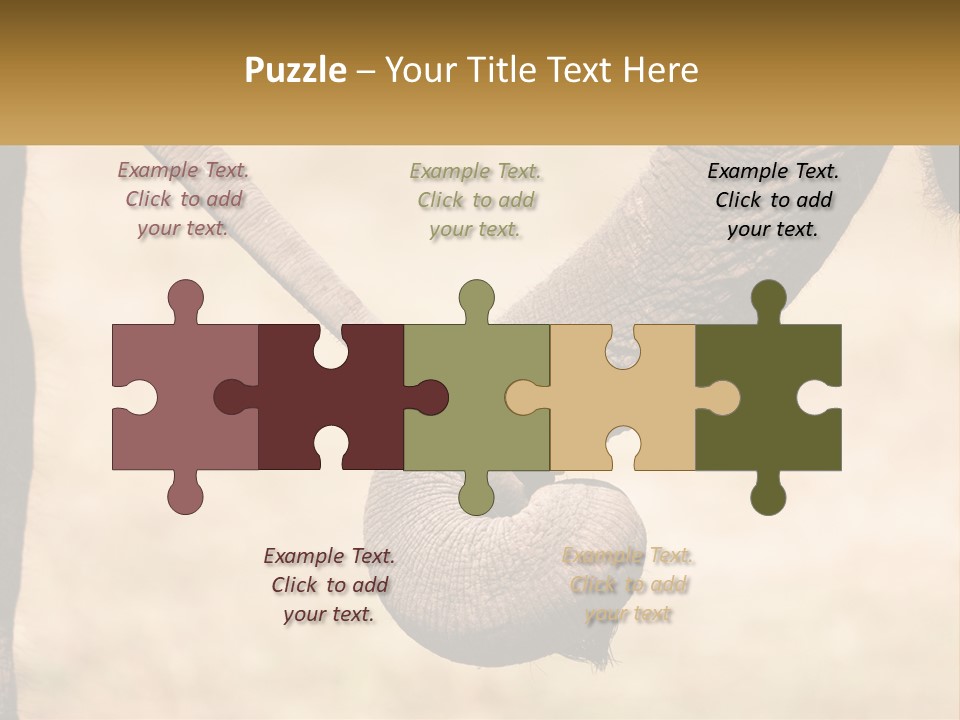 Baby Elephant Holds On To Mom's Tail PowerPoint Template