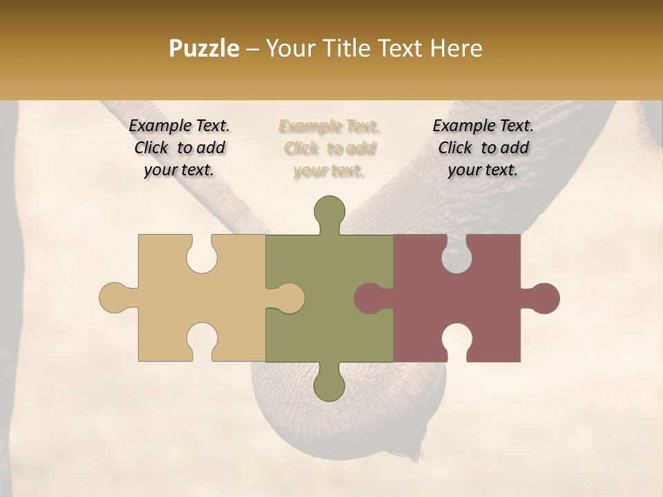 Baby Elephant Holds On To Mom's Tail PowerPoint Template