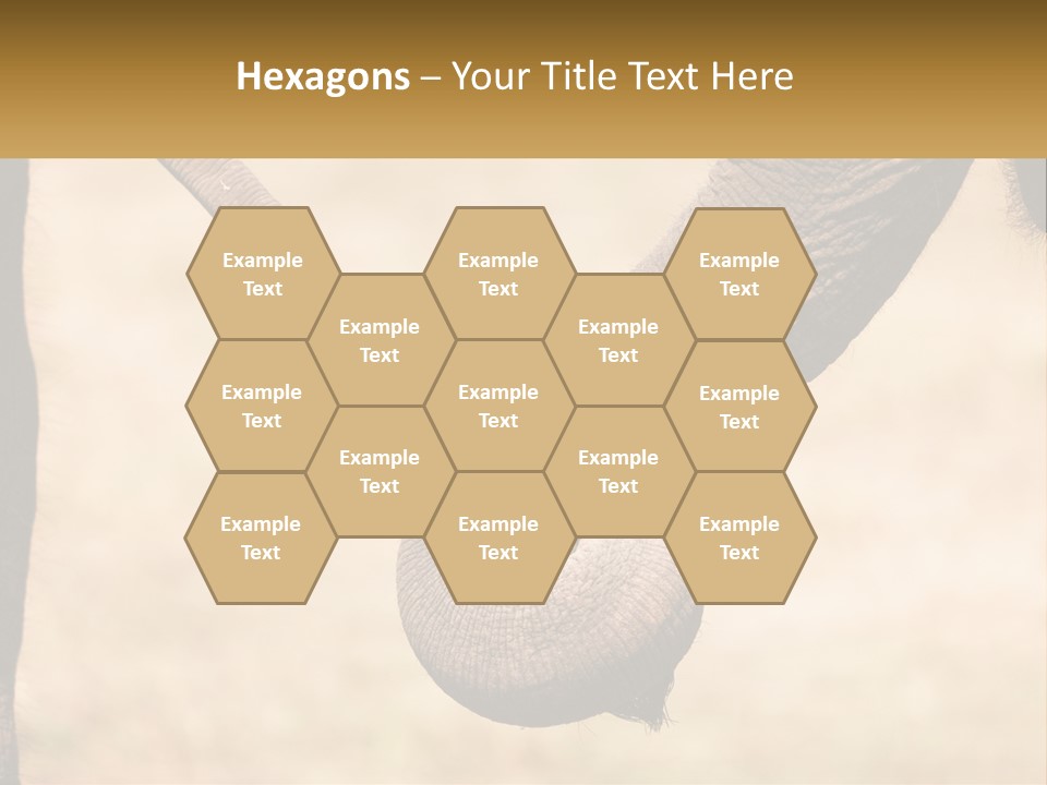 Baby Elephant Holds On To Mom's Tail PowerPoint Template