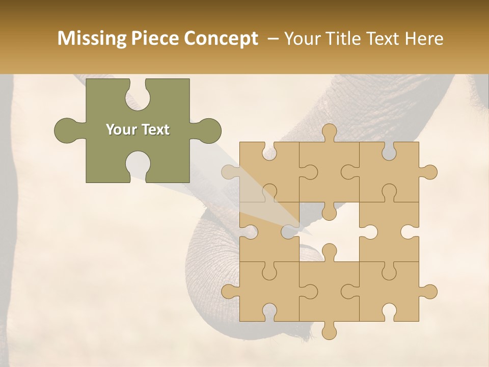 Baby Elephant Holds On To Mom's Tail PowerPoint Template