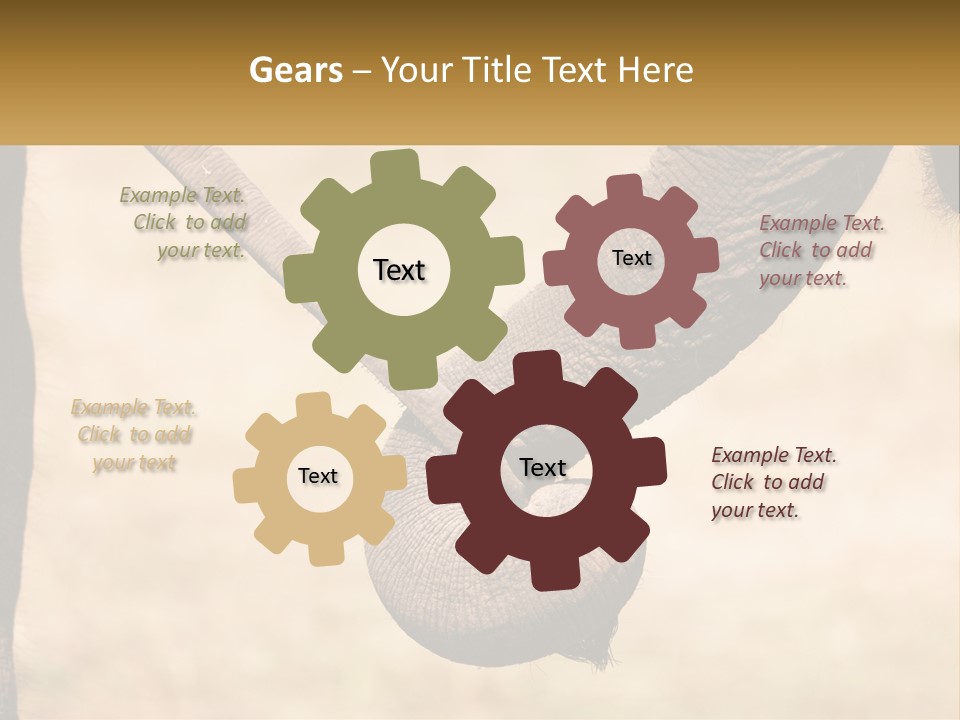 Baby Elephant Holds On To Mom's Tail PowerPoint Template