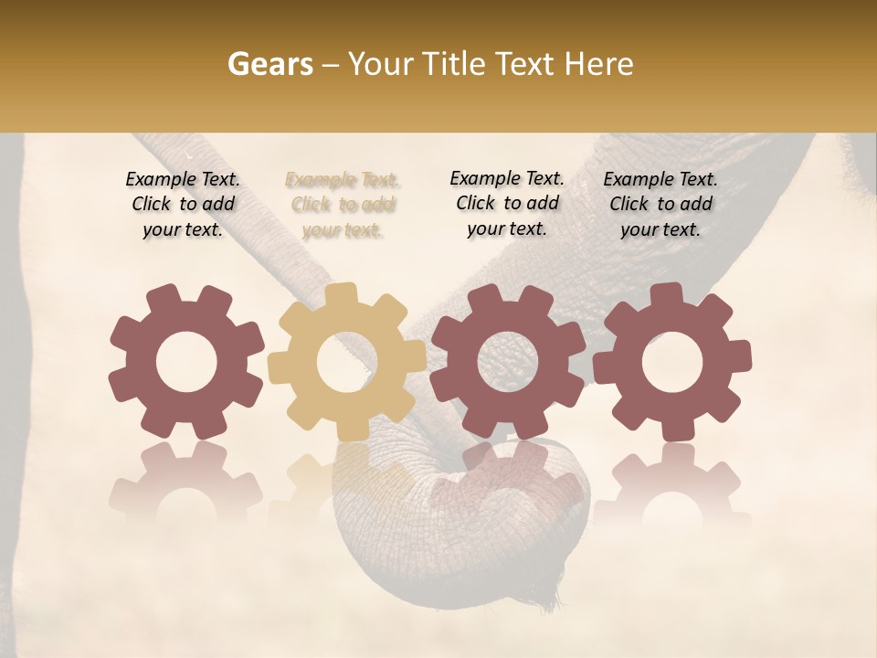 Baby Elephant Holds On To Mom's Tail PowerPoint Template