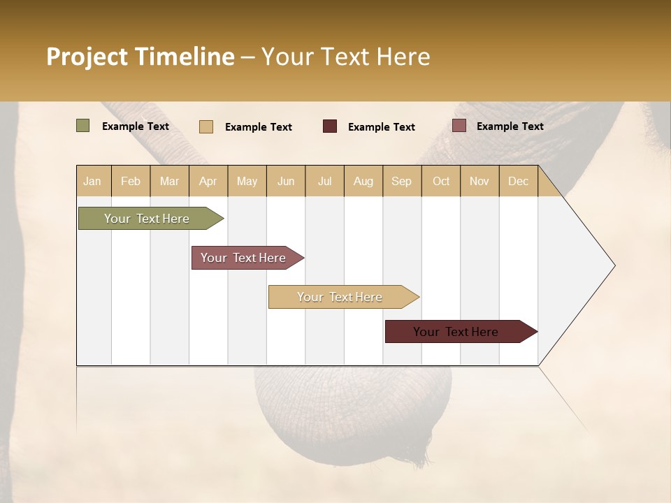 Baby Elephant Holds On To Mom's Tail PowerPoint Template