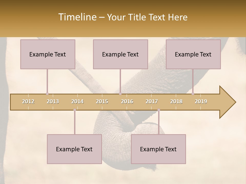 Baby Elephant Holds On To Mom's Tail PowerPoint Template