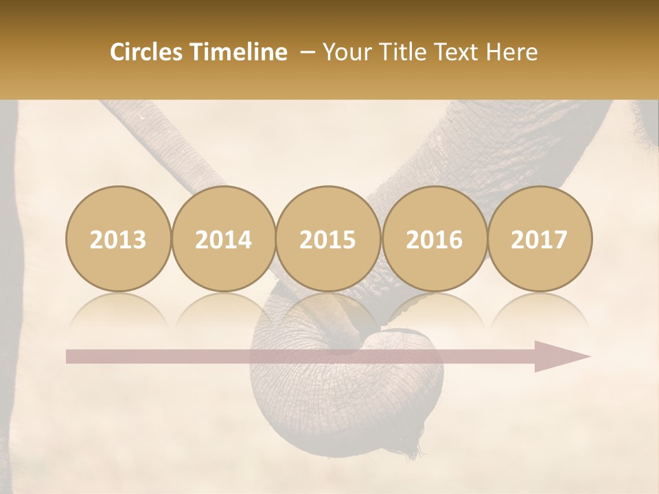 Baby Elephant Holds On To Mom's Tail PowerPoint Template