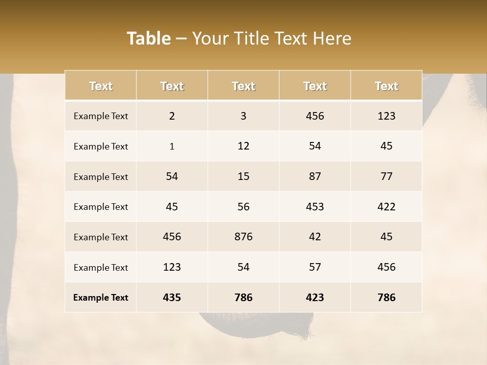 Baby Elephant Holds On To Mom's Tail PowerPoint Template