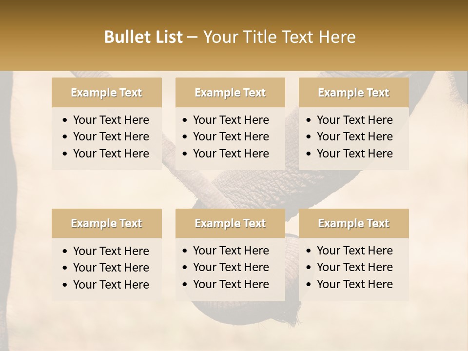 Baby Elephant Holds On To Mom's Tail PowerPoint Template