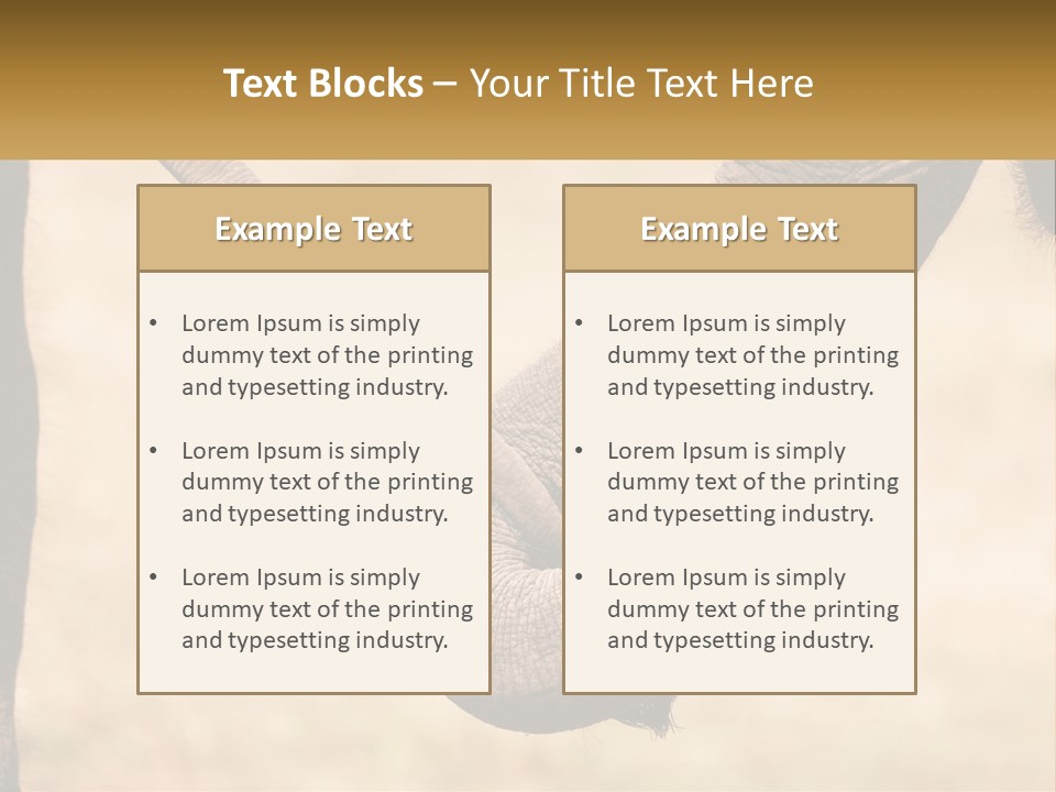 Baby Elephant Holds On To Mom's Tail PowerPoint Template