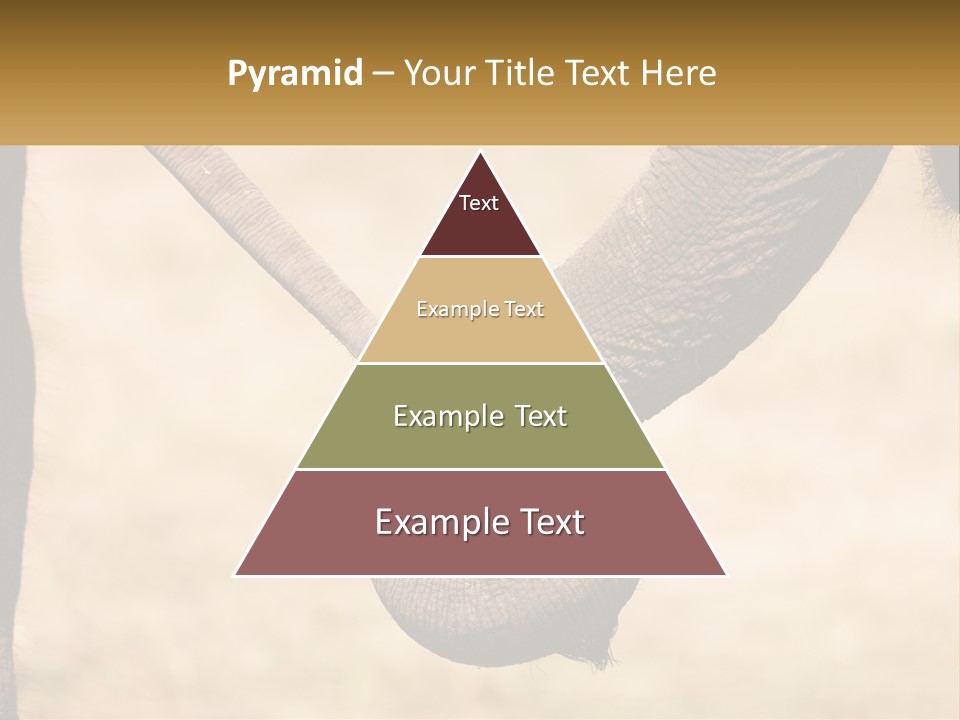 Baby Elephant Holds On To Mom's Tail PowerPoint Template